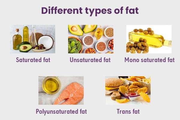 Are There Different Types Of Fat