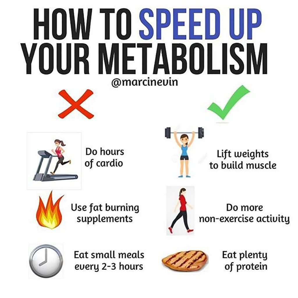 How Can I Increase My Metabolism