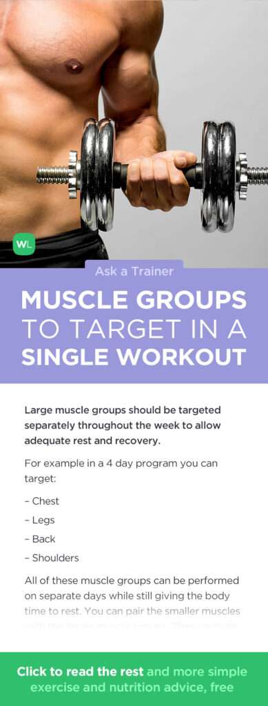 How Many Muscle Groups Should You Target In A Single Workout