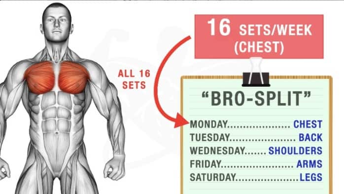 How Many Muscle Groups Should You Target In A Single Workout