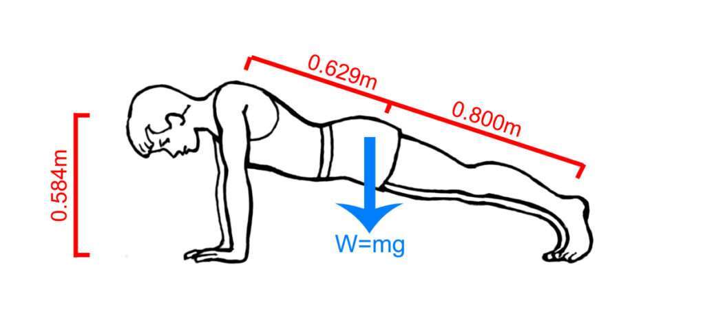 How Much Of Your Bodyweight Is Lifted During A Push-Up