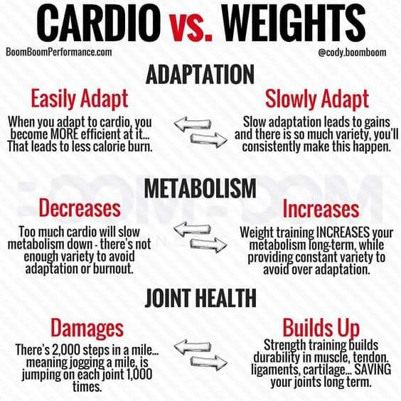 Is Cardio Or Weight Lifting Better For Fat Loss