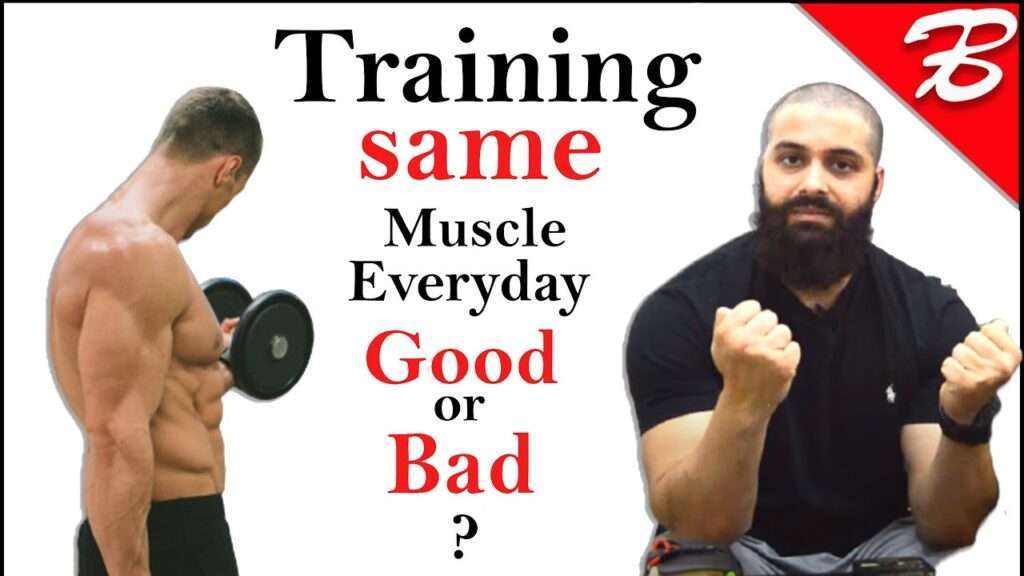 Should Different Muscle Groups Be Worked Out Every Day