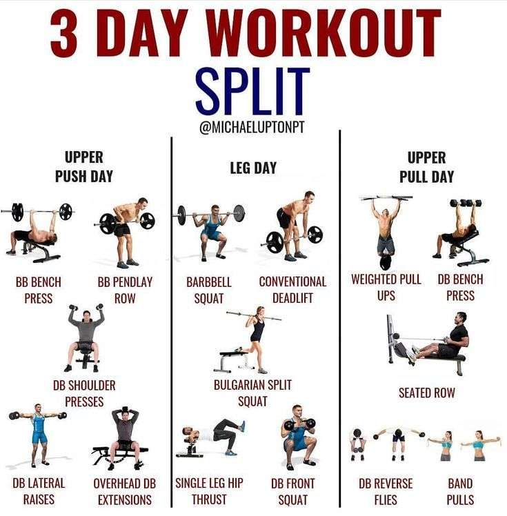 What Is The Ideal Muscle Group Workout Split For A 3-Day Routine