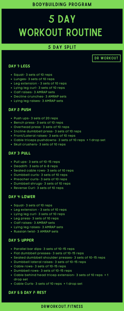 What Is The Recommended Muscle Group Workout Split For A 5-Day Routine