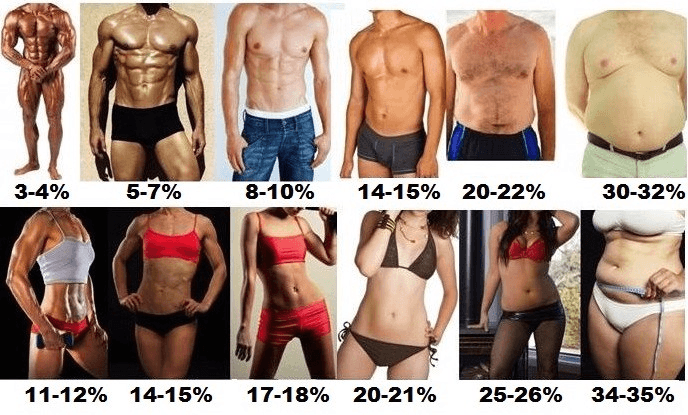 Whats The Best Way To Measure My Body Fat Percentage