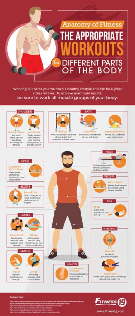 Which Body Parts Are Typically Worked Together In Fitness Routines